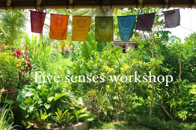 Five senses WS blog photo